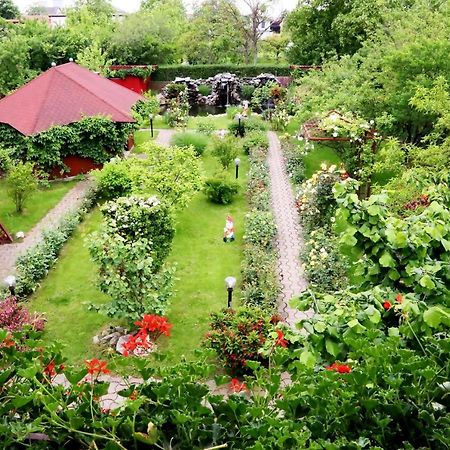 Pension Delia Gardens Timisoara Ngoại thất bức ảnh