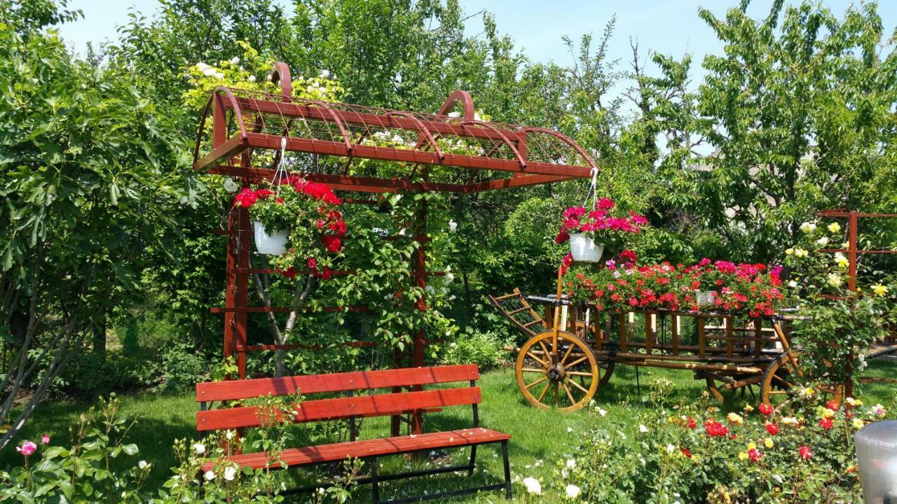 Pension Delia Gardens Timisoara Ngoại thất bức ảnh