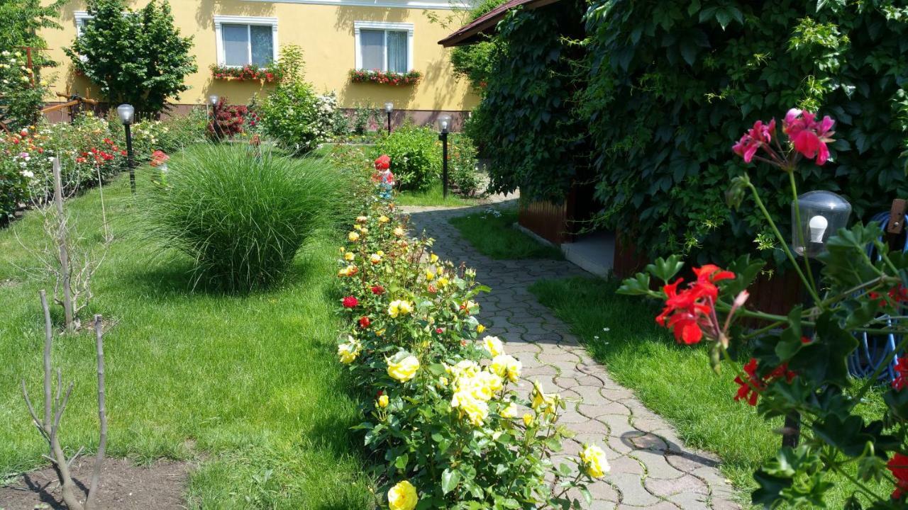 Pension Delia Gardens Timisoara Ngoại thất bức ảnh