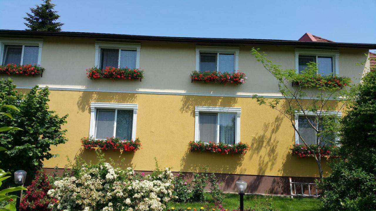 Pension Delia Gardens Timisoara Ngoại thất bức ảnh