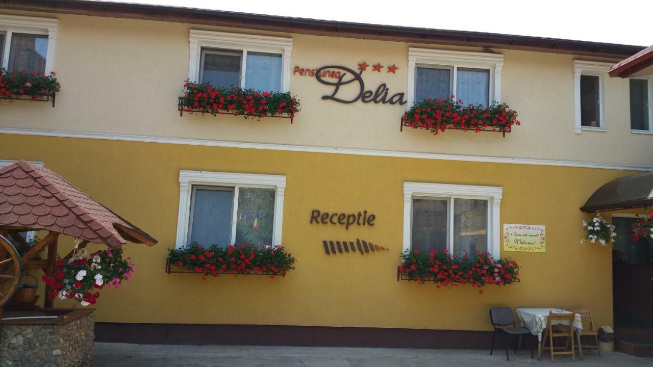 Pension Delia Gardens Timisoara Ngoại thất bức ảnh