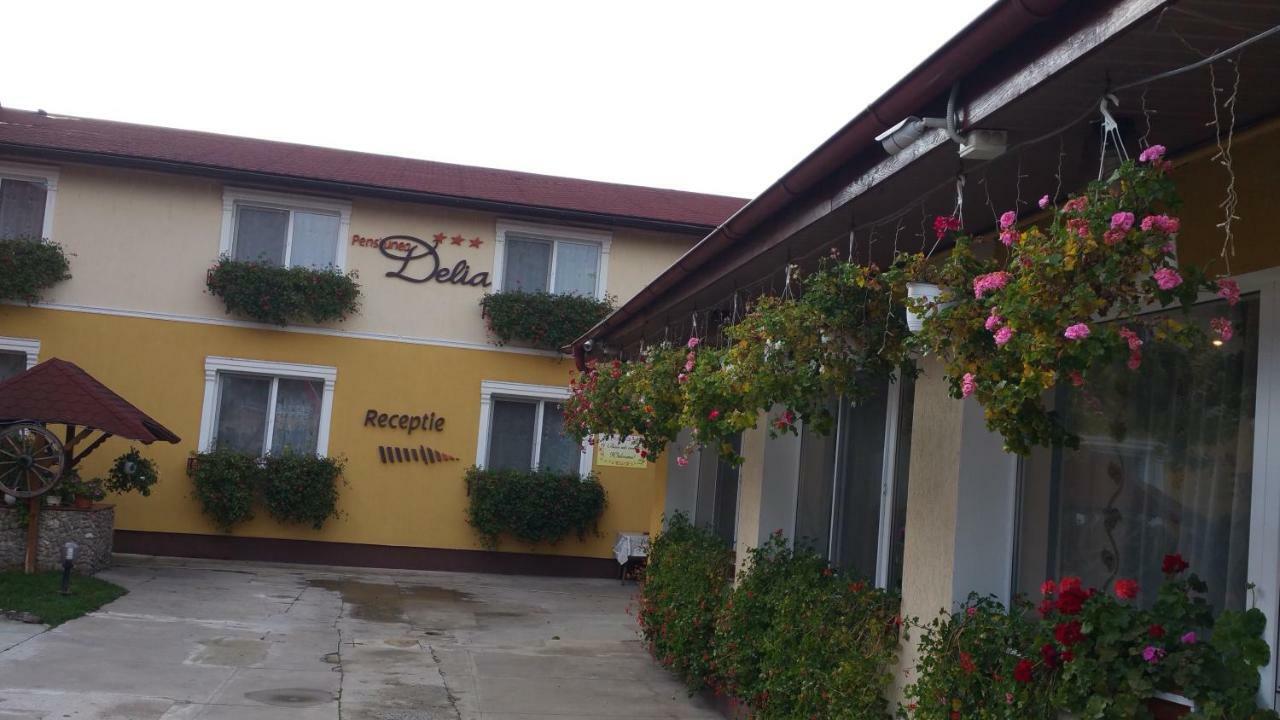 Pension Delia Gardens Timisoara Ngoại thất bức ảnh