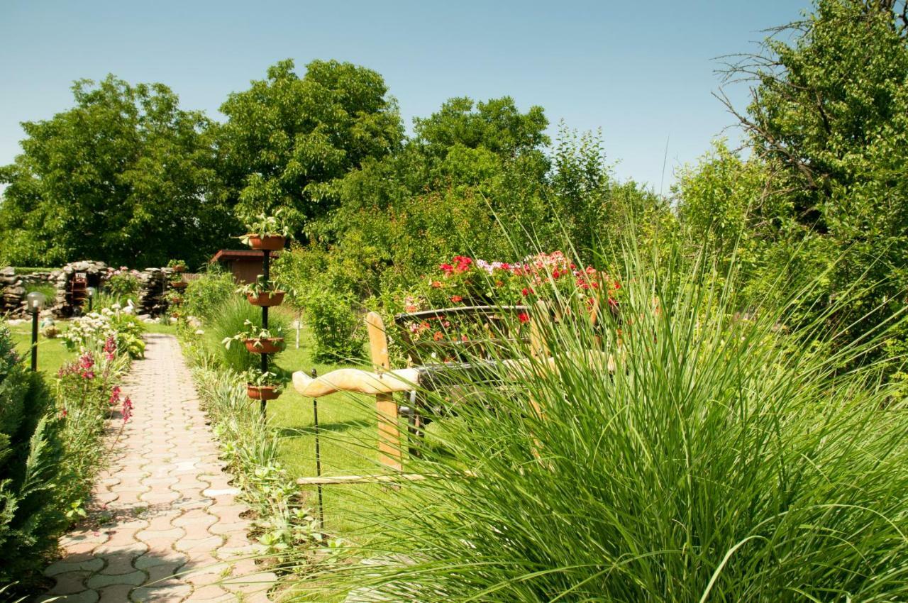 Pension Delia Gardens Timisoara Ngoại thất bức ảnh
