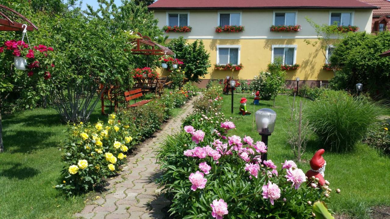 Pension Delia Gardens Timisoara Ngoại thất bức ảnh