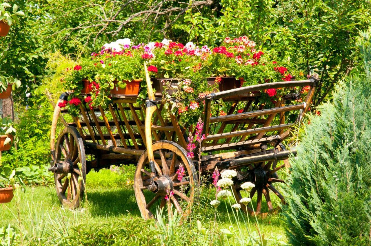 Pension Delia Gardens Timisoara Ngoại thất bức ảnh